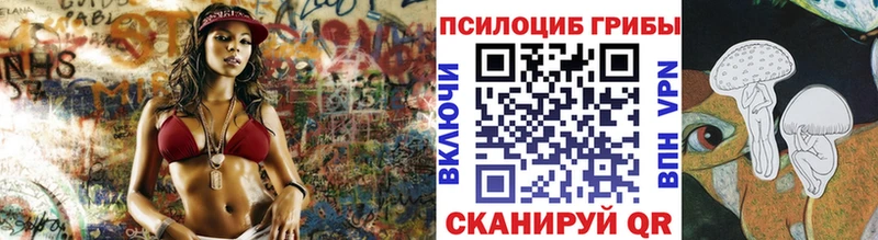 MEGA онион  Шилка  Псилоцибиновые грибы MAGIC MUSHROOMS  как найти закладки 